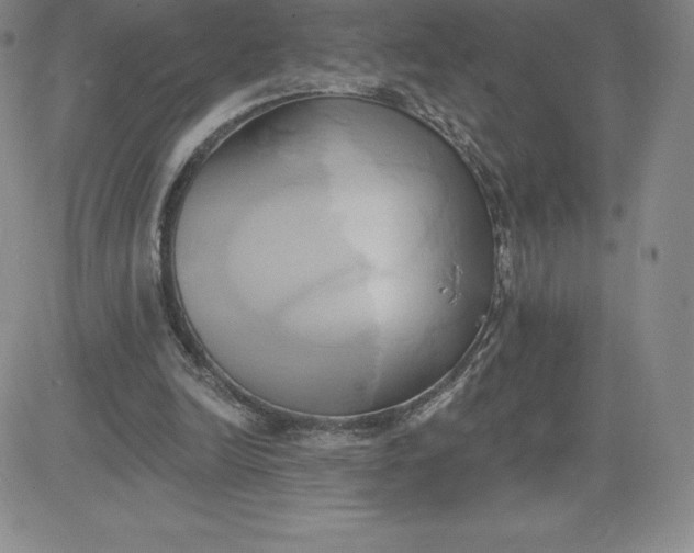 X0000081300246200701251725