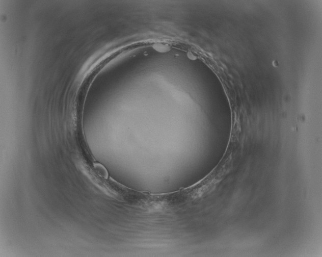 X0000081300247200701251725