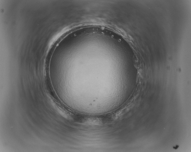 X0000081300248200701251725