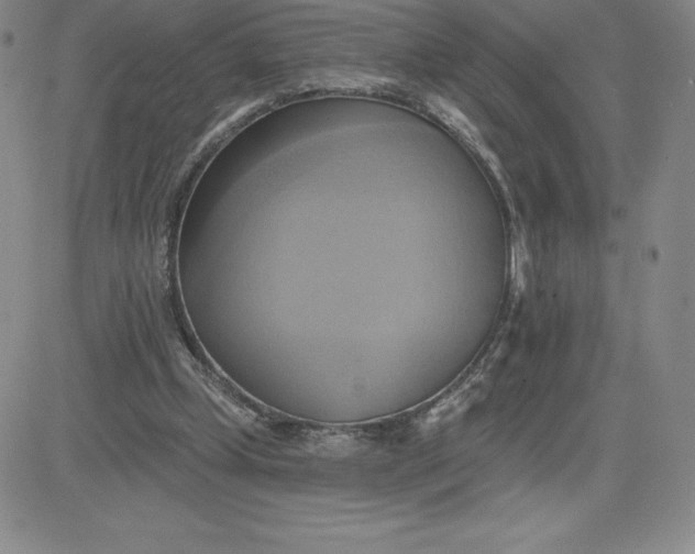 X0000081300249200701251725