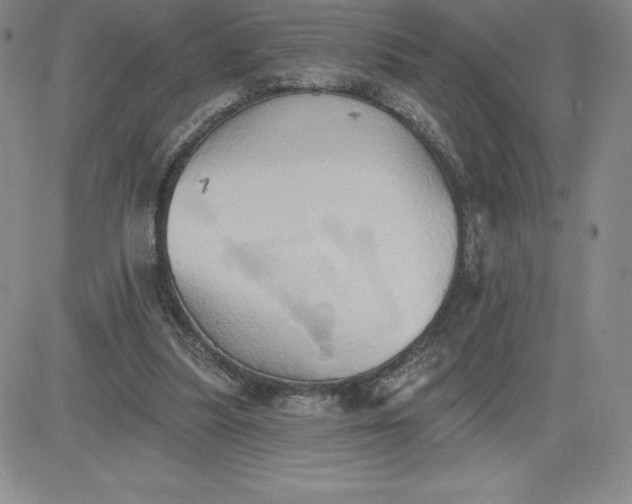 X0000081300251200701251725