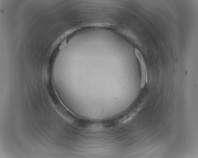 X0000081300252200701251725