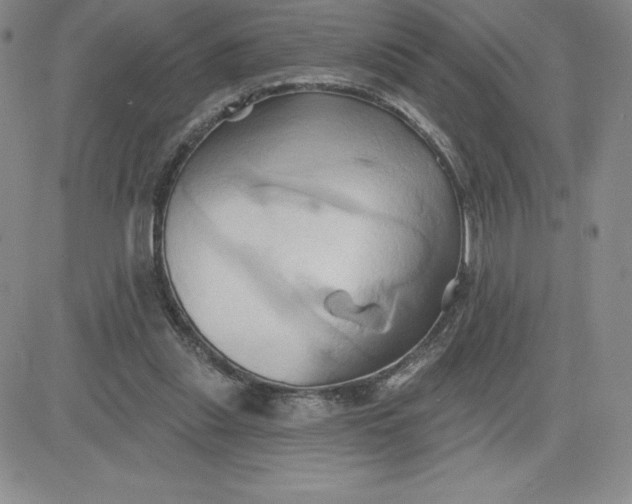 X0000081300253200701251725