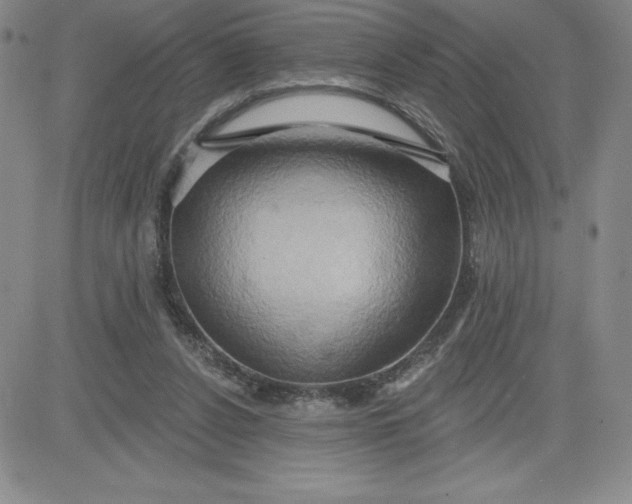 X0000081300256200701251725