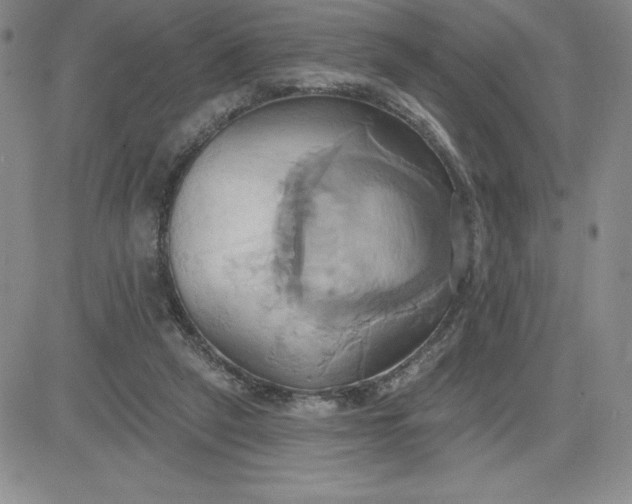 X0000081300257200701251725