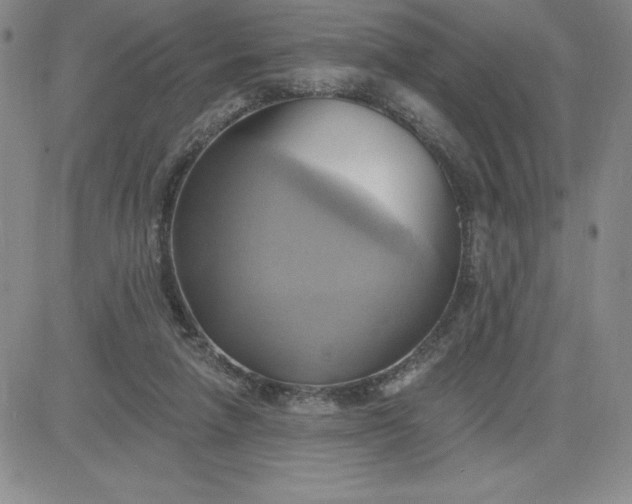 X0000081300258200701251725