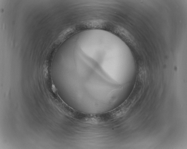 X0000081300259200701251725