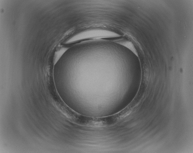 X0000081300260200701251725