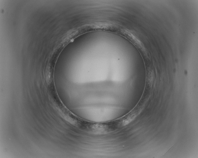 X0000081300261200701251725