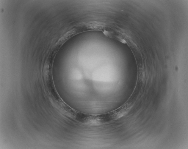 X0000081300263200701251725