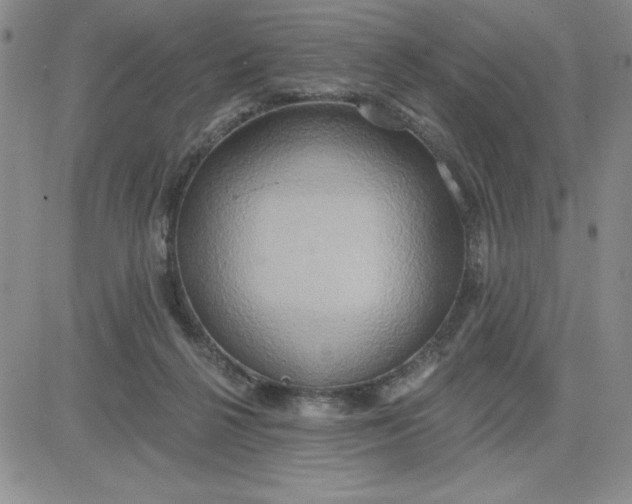 X0000081300264200701251725