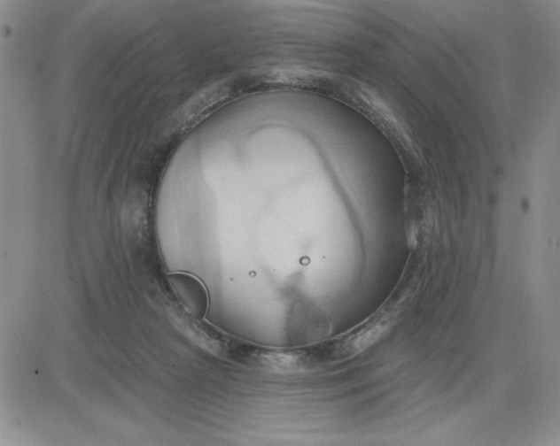 X0000081300265200701251725