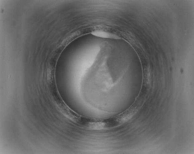 X0000081300266200701251725