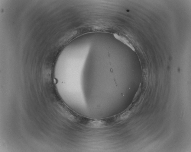 X0000081300269200701251725