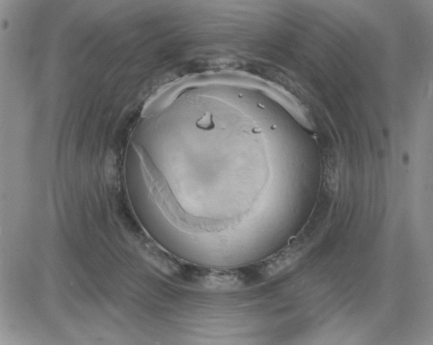 X0000081300270200701251725