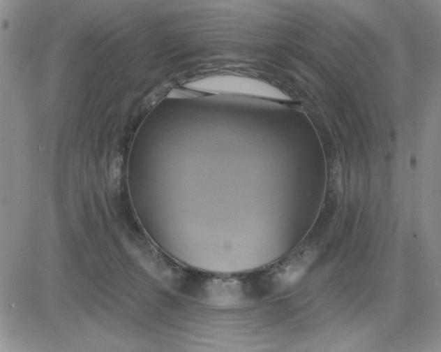 X0000081300271200701251725