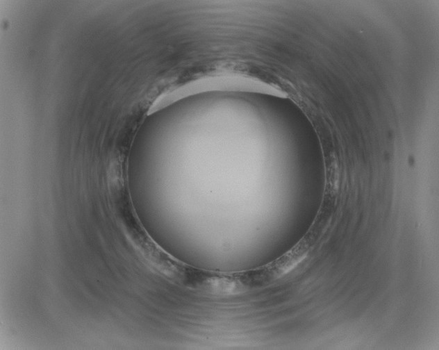 X0000081300272200701251725