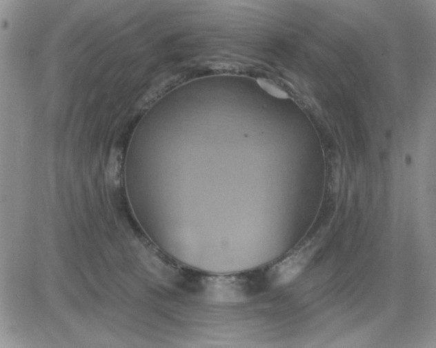 X0000081300273200701251725