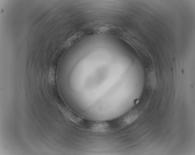 X0000081300274200701251725