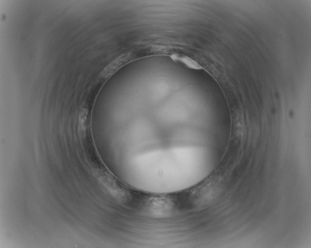 X0000081300275200701251725