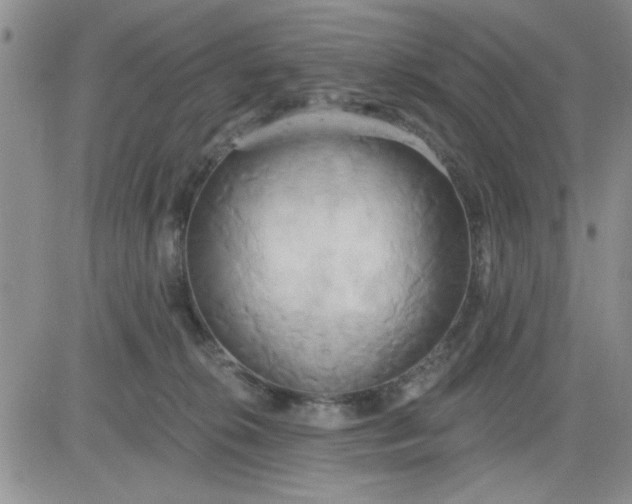 X0000081300276200701251725