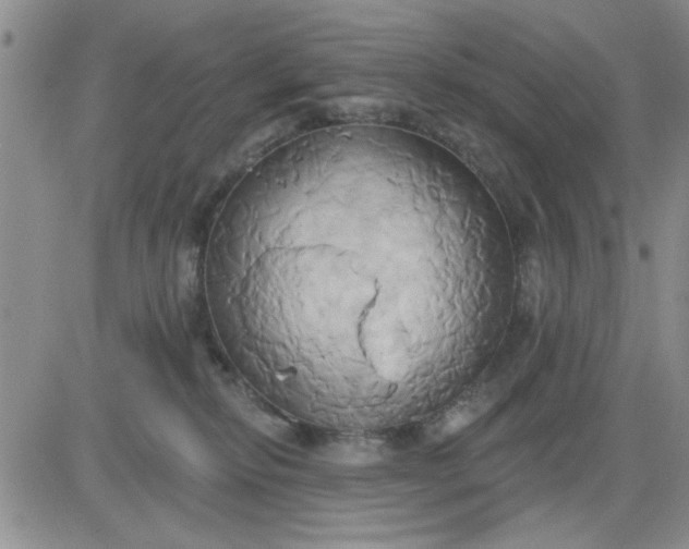 X0000081300278200701251725