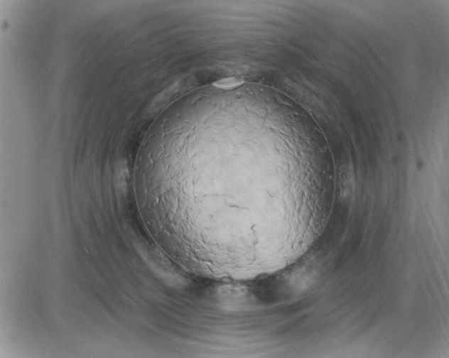 X0000081300279200701251725