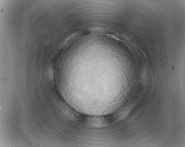 X0000081300282200701251725