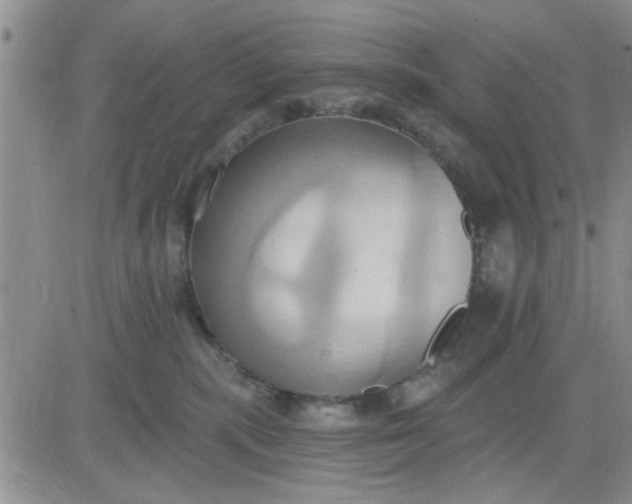 X0000081300283200701251725