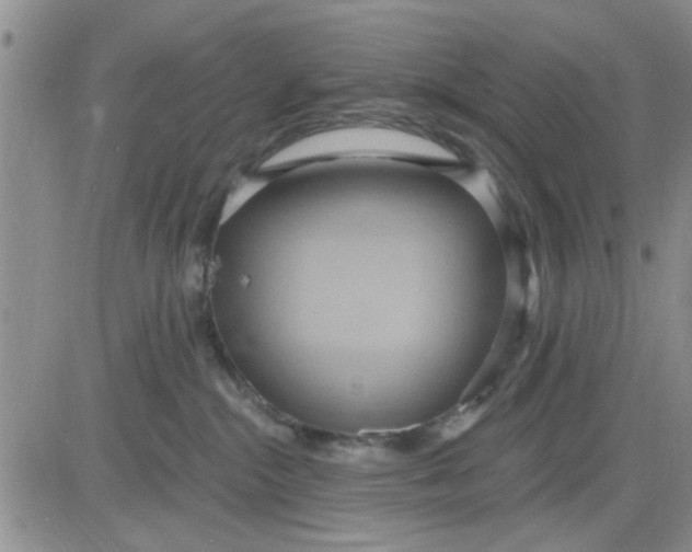 X0000081300284200701251726