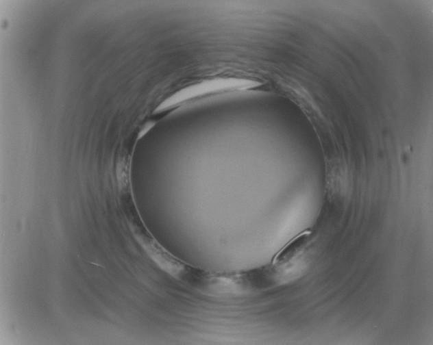 X0000081300285200701251726