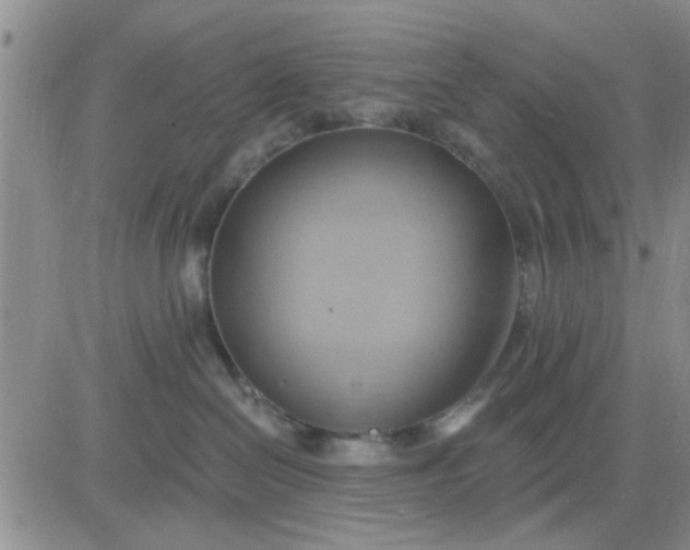 X0000081300286200701251726