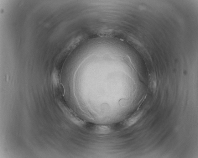 X0000081300287200701251726