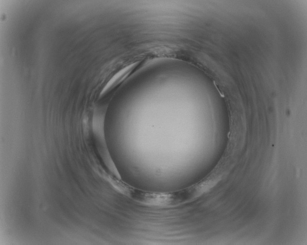 X0000081300288200701251726