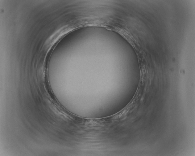 X0000081300290200701251725