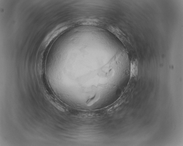 X0000081300291200701251725