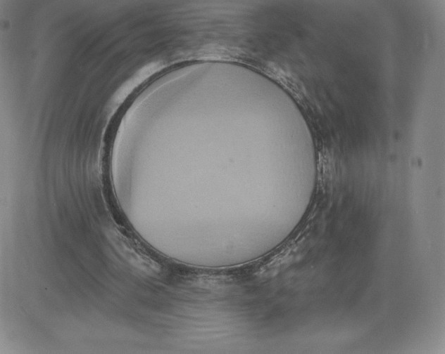 X0000081300292200701251725