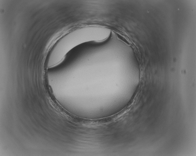 X0000081300293200701251725