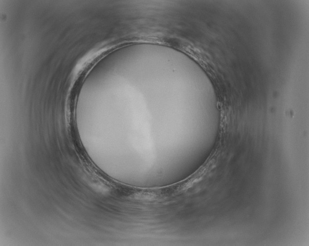 X0000081300294200701251725