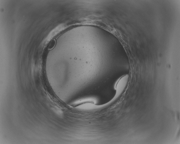 X0000081300295200701251725