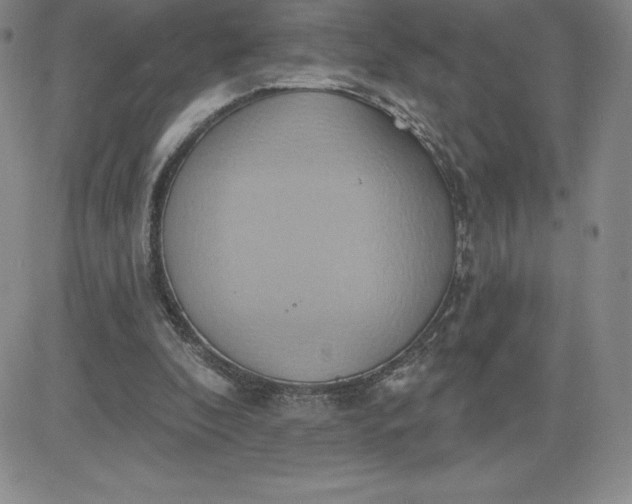 X0000081300296200701251725