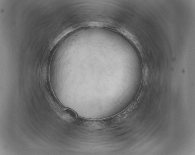 X0000081300297200701251725