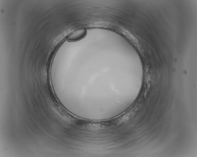 X0000081300298200701251725