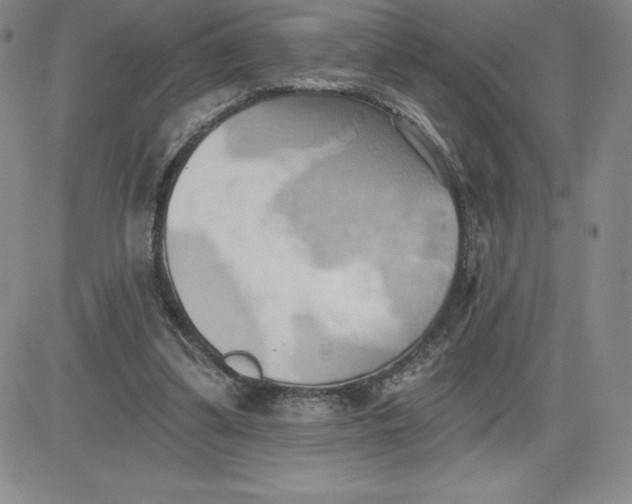 X0000081300299200701251725