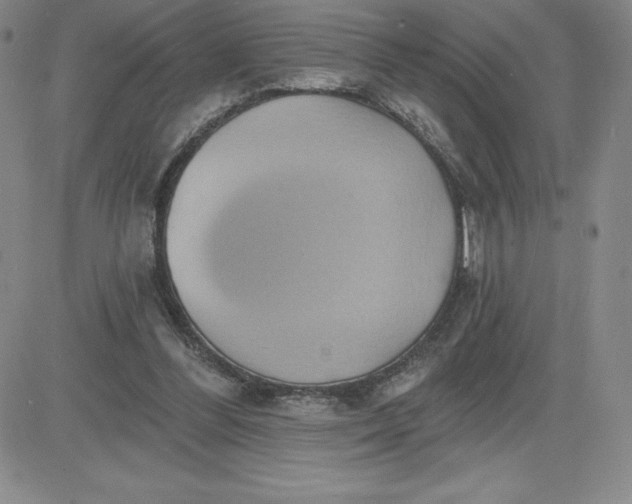 X0000081300300200701251725