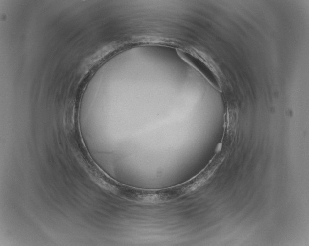 X0000081300301200701251725