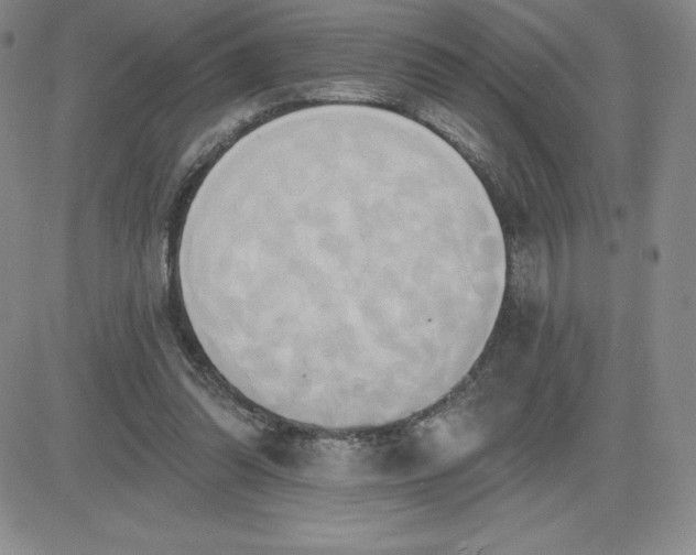 X0000081300302200701251725