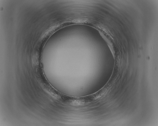 X0000081300303200701251725