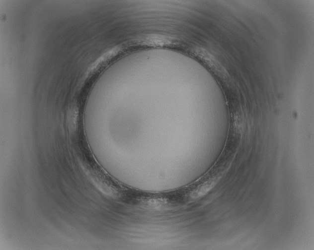 X0000081300304200701251725