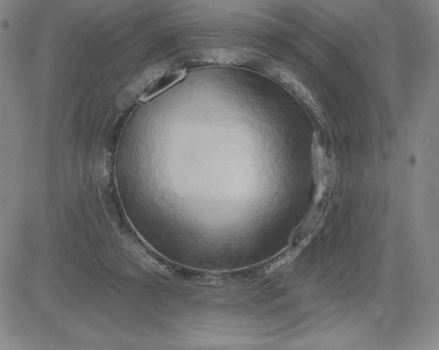 X0000081300305200701251725